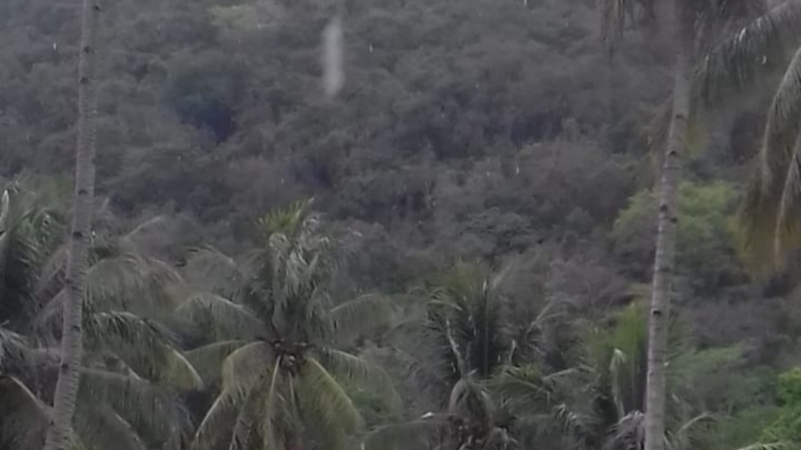 Desa Pulu Akan Jadi Percontohan Agroforestry Berbasis Komunitas