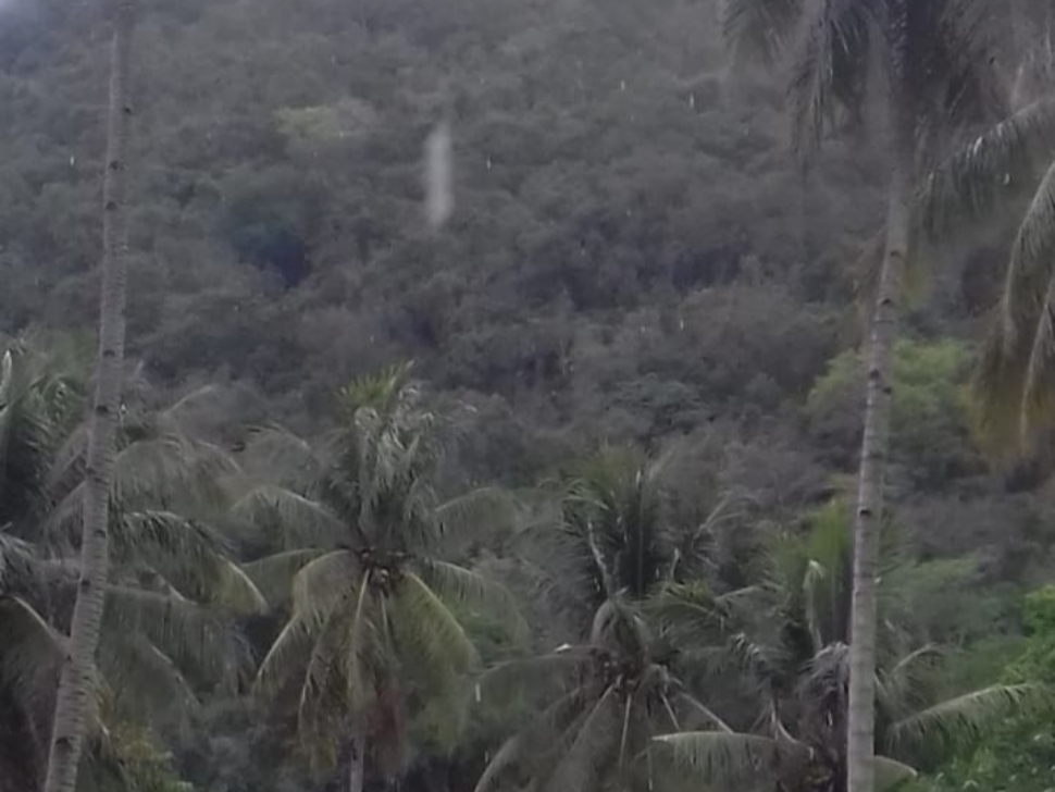 Desa Pulu Akan Jadi Percontohan Agroforestry Berbasis Komunitas