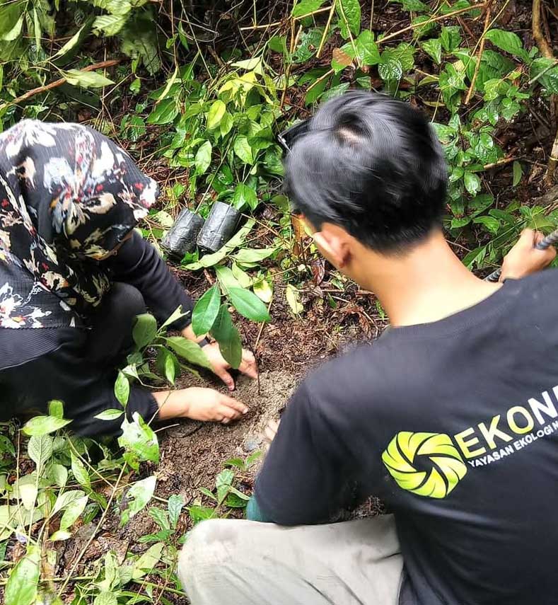 EKONESIA01
