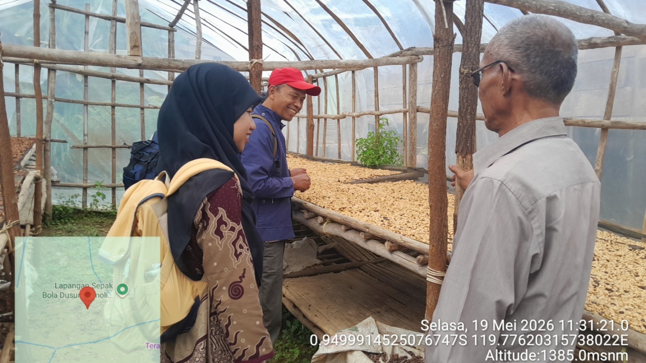 Rumah penjemuran kopi arabika di Marawola Brat. Foto Yunik Hendra Wati