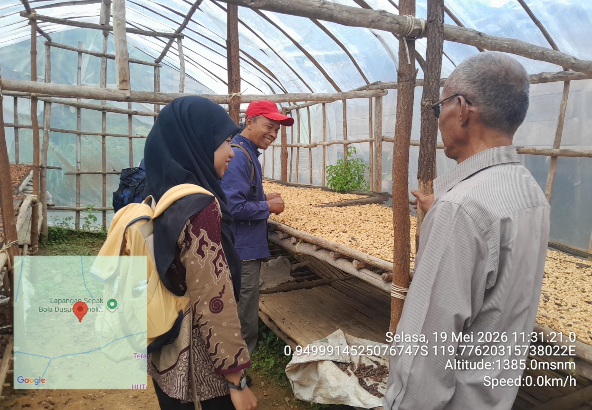 Rumah penjemuran kopi arabika di Marawola Brat. Foto Yunik Hendra Wati