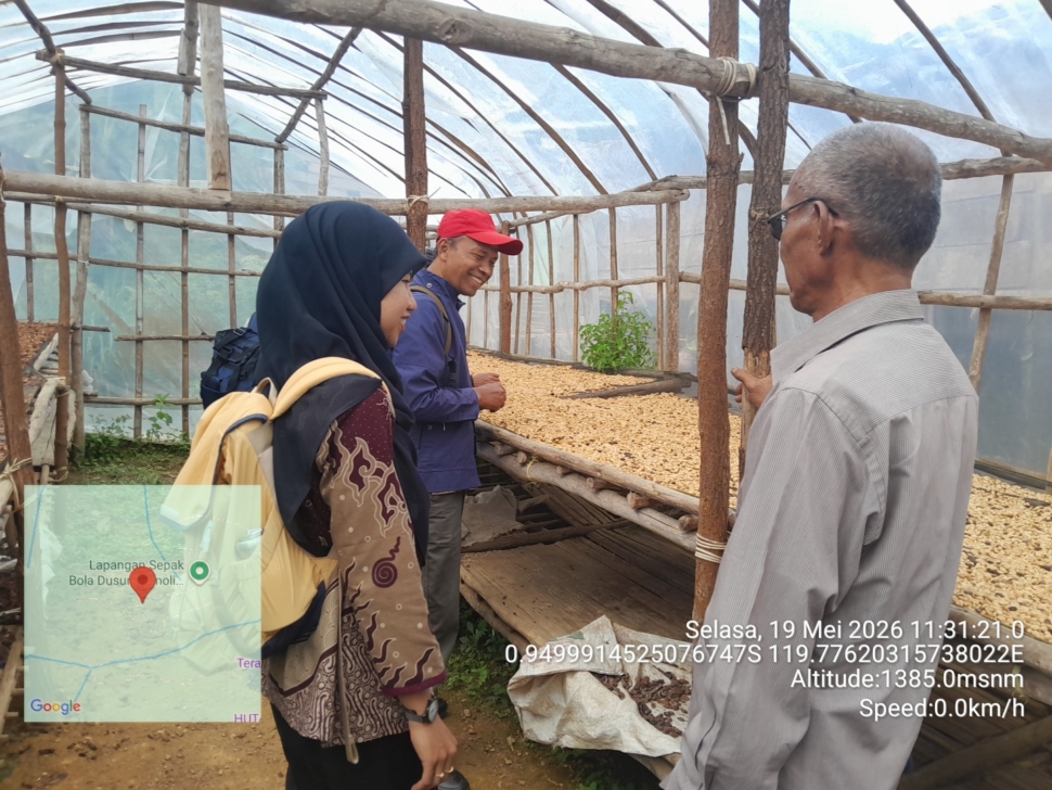 Rumah penjemuran kopi arabika di Marawola Brat. Foto Yunik Hendra Wati